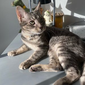 Meet your Posher, Anna